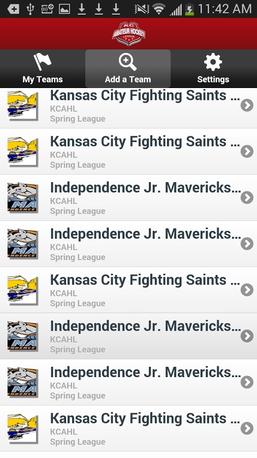 Kansas City Amateur Hockey截图2