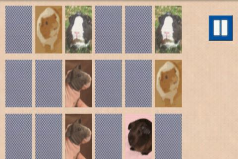 Guinea piggy memory game截图2