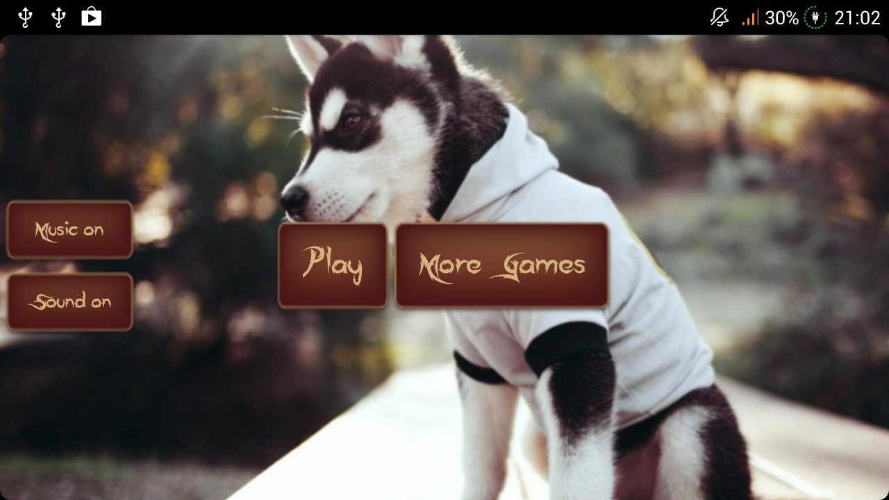 Husky Puzzle截图2