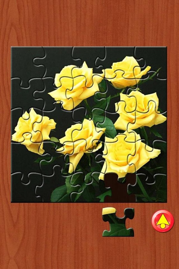 Flowers Jigsaw Puzzle截图2