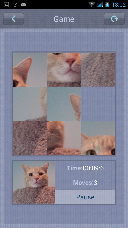 Cat Puzzle for Kids截图4