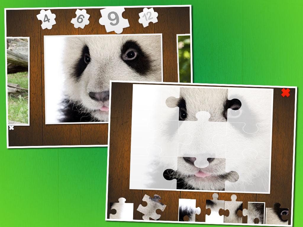 Baby animal puzzle截图3