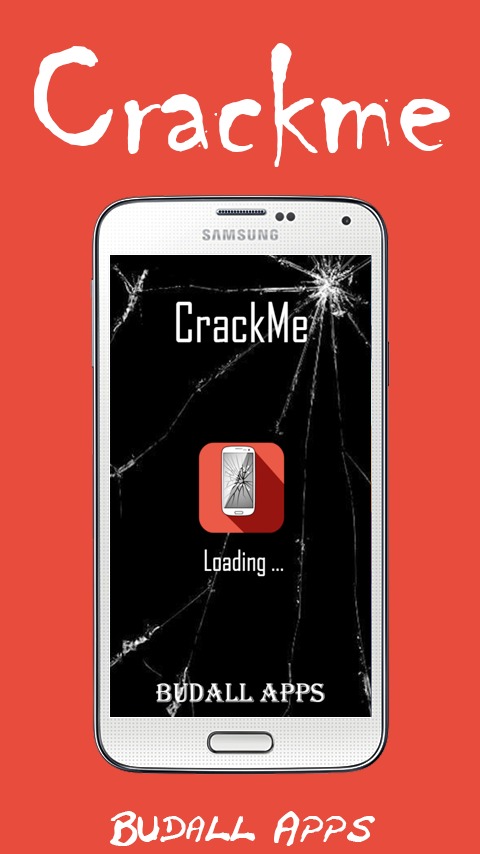 Crack Me Game截图1