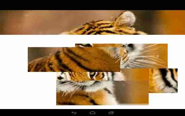 Wild Animal Puzzles截图5