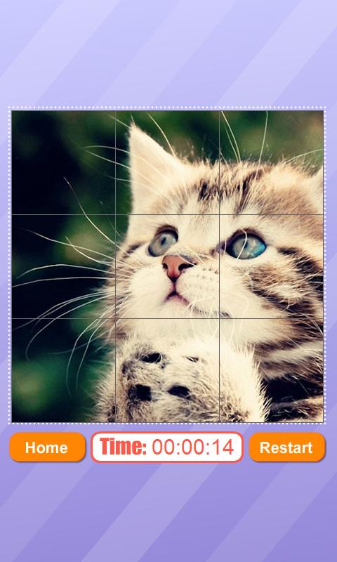 Cute Kitten Sliding Puzzle截图2