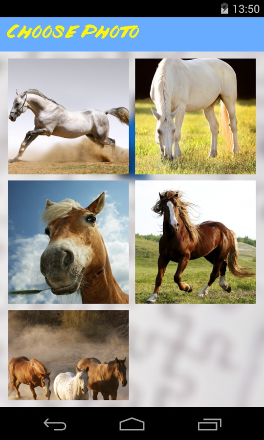 Horses Jigsaw Puzzle截图3