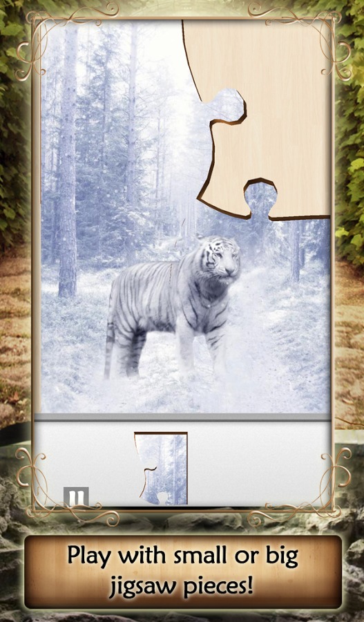 Live Jigsaws - Cat Tailz截图2