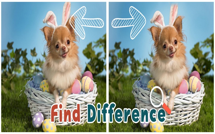 Find 5 Differences : Puppies截图2