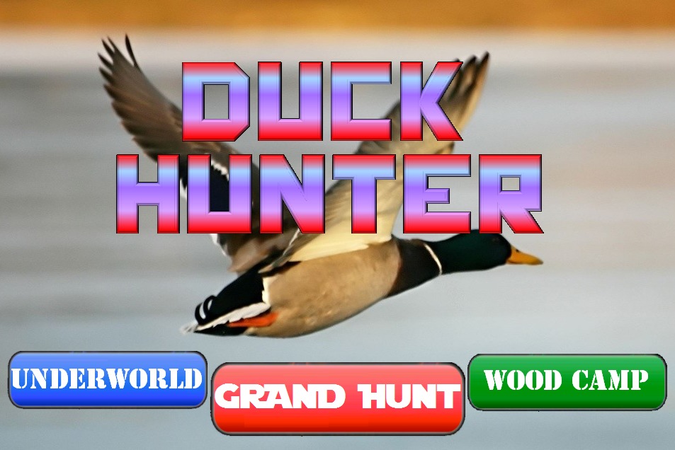 Duck Hunter Pro截图1