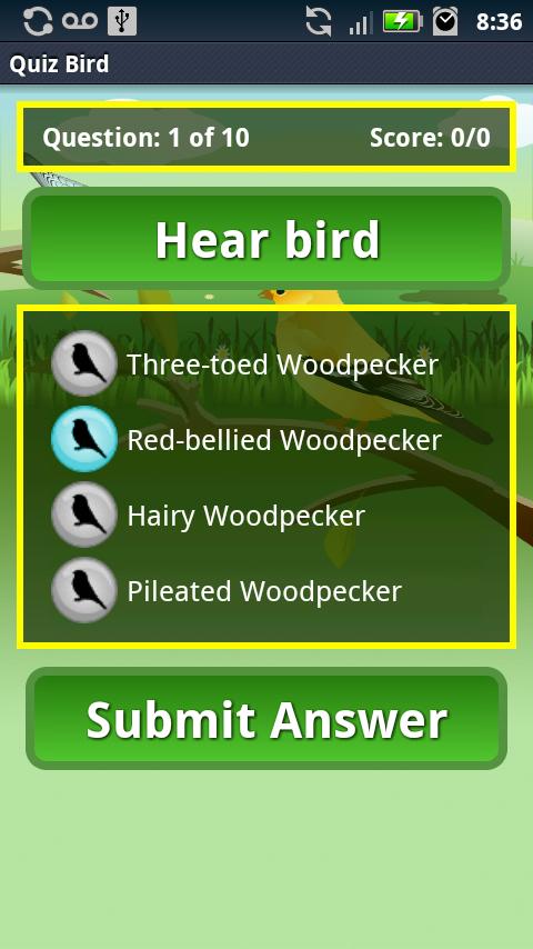 Quiz Bird Free截图2