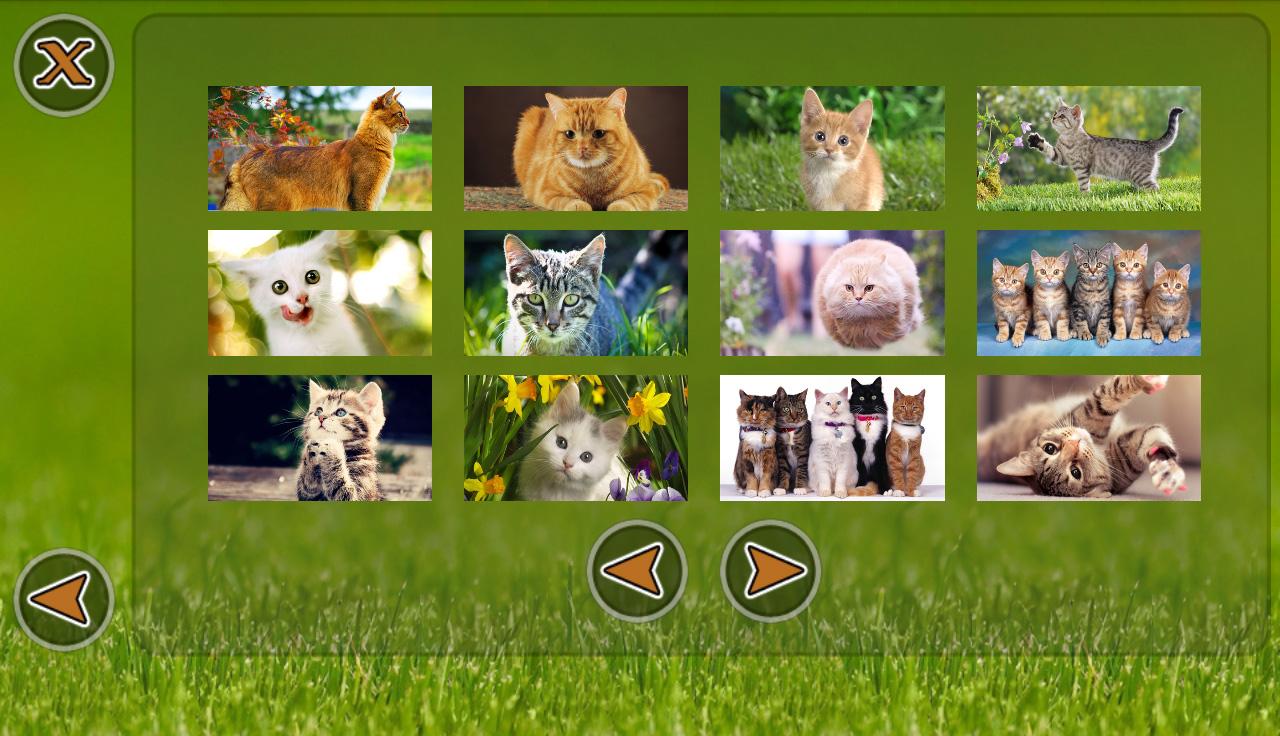 Cats Puzzle截图2