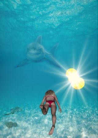 SHARK ADVENTURE截图4