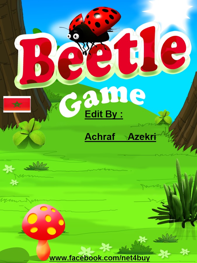 Beetle Morocco Game截图4