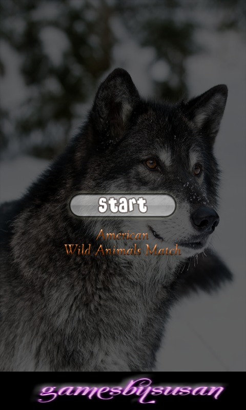 American Wild Animals Match截图1