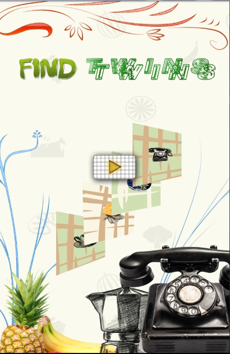 Find Twins截图1