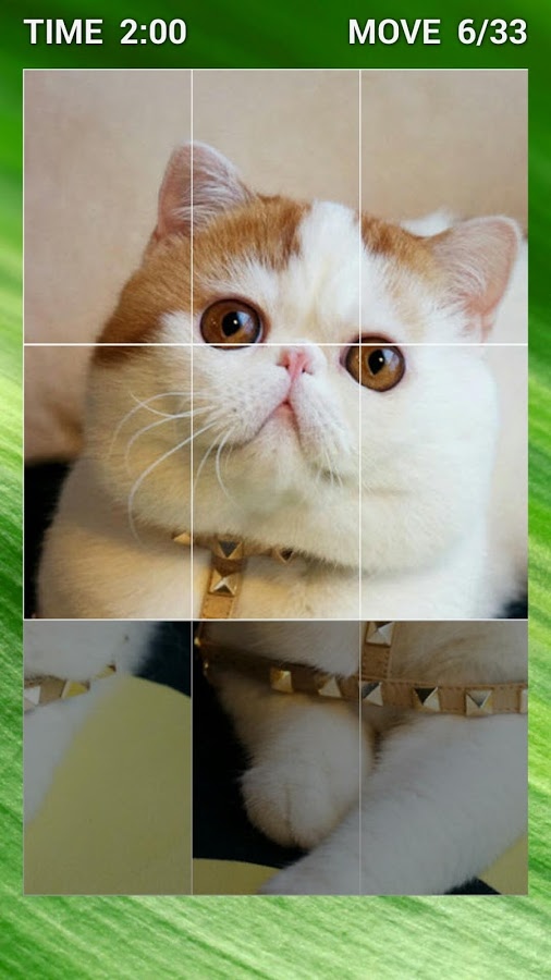 Cute Cat Swap Puzzle for Kids截图2