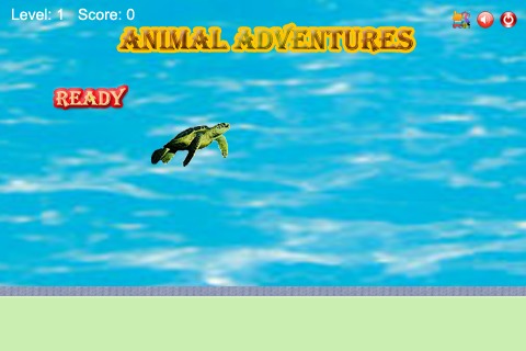 Animal Adventures截图5