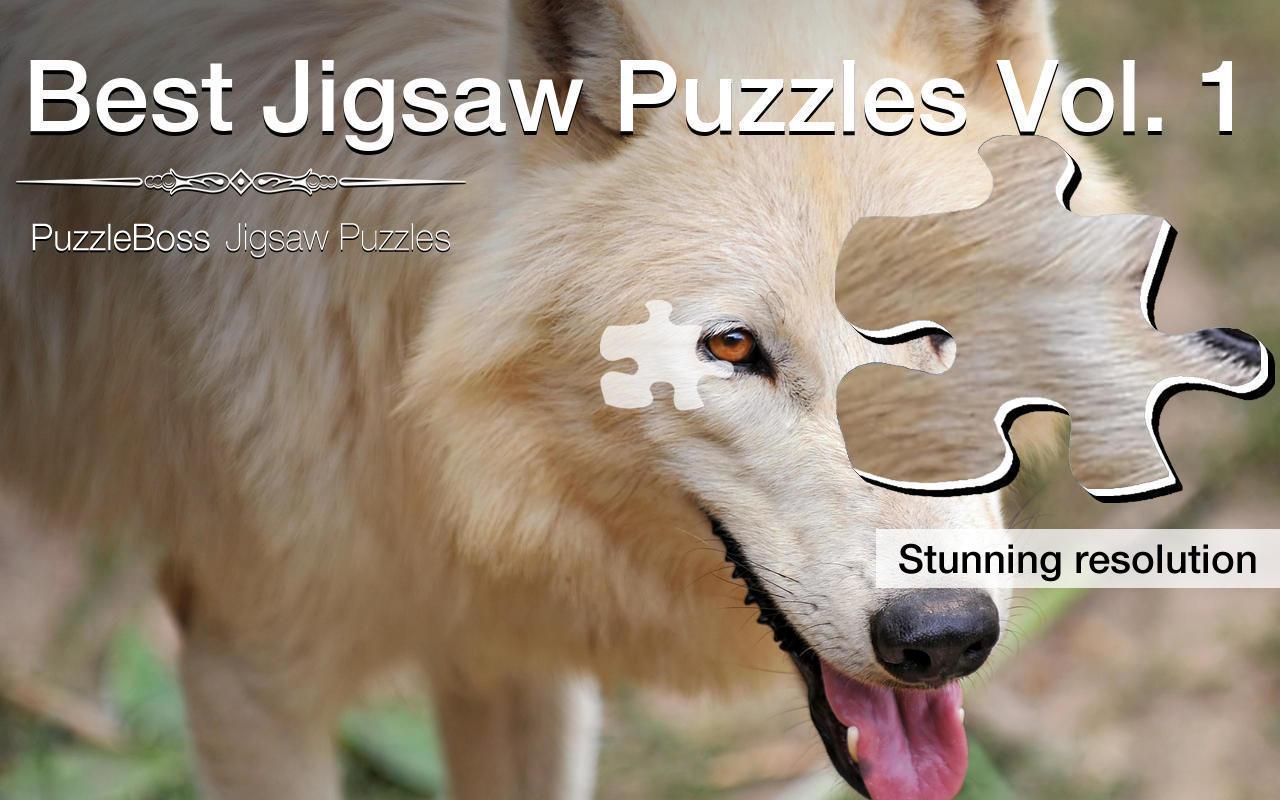 Best Jigsaw Puzzles Vol. 1截图4