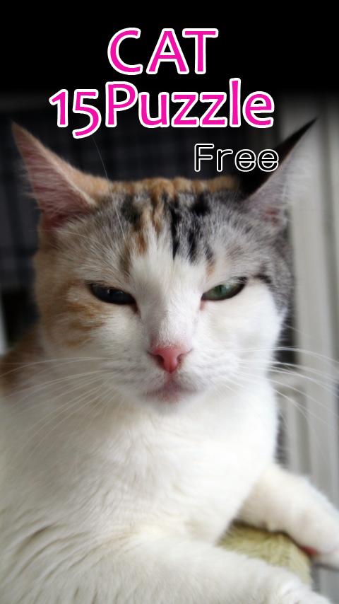 CAT15Puzzle free截图1