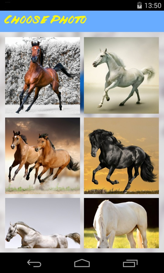 Horses Jigsaw Puzzle截图2