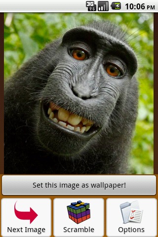 Monkey Puzzle截图1