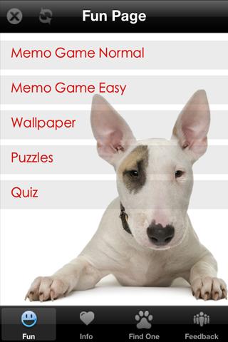 Bull Terrier+ Free截图1