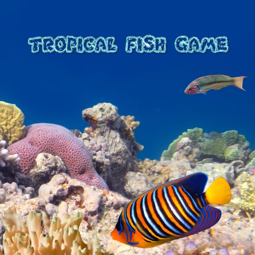 Tropical Fish Game截图1