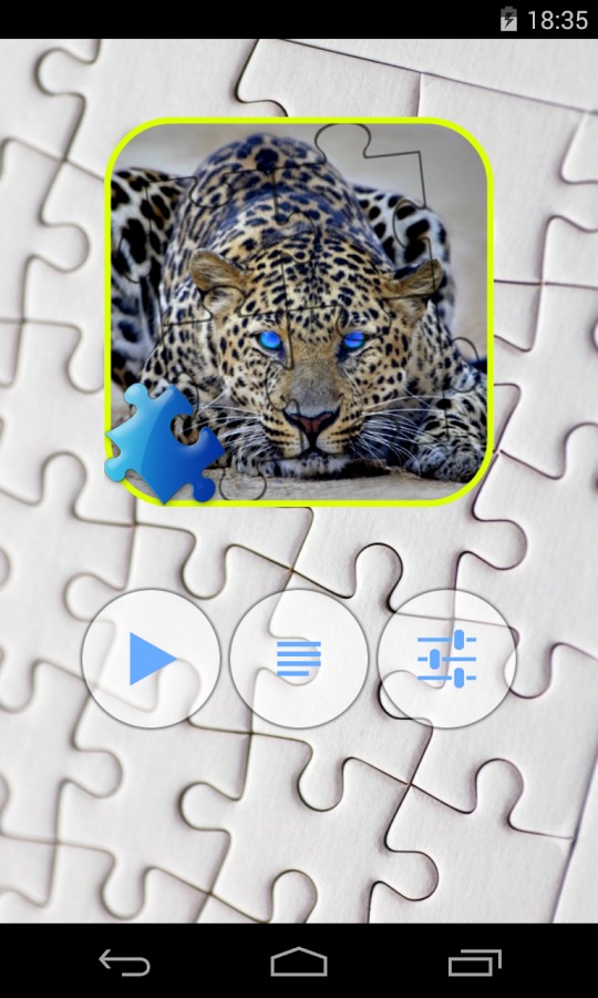 Leopard Jigsaw Puzzle截图1