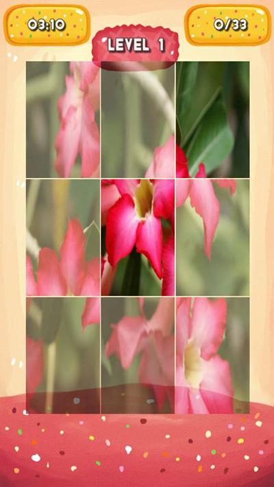 Desert rose Jigsaw Puzzles截图3