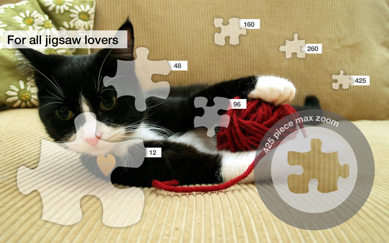 More Kitten Jigsaw Puzzles截图2