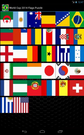 Flagz World Cup 2014 Puzzle截图3