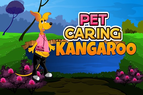 Pet Caring Kangaroo截图1