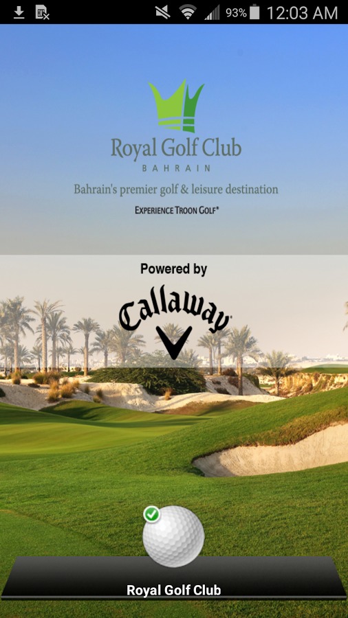 Royal Golf Club截图4