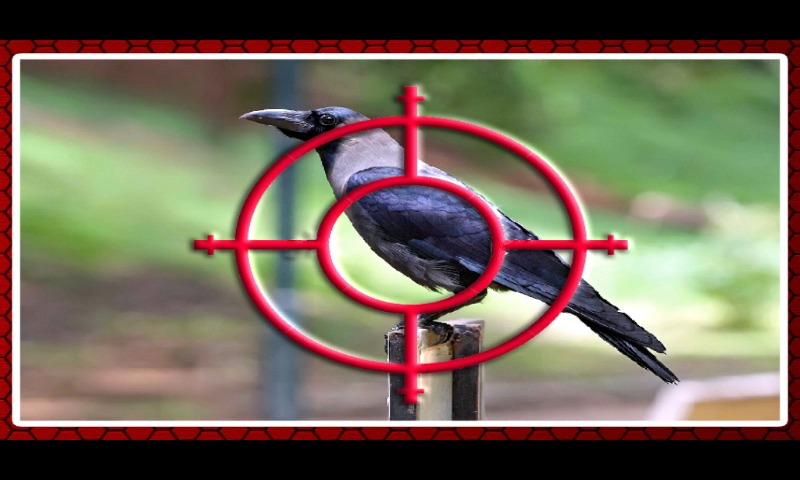 Crow Hunting截图1