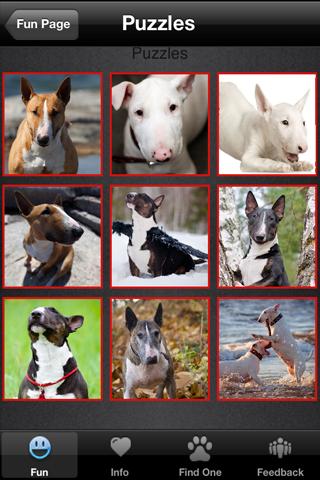 Bull Terrier+ Free截图5