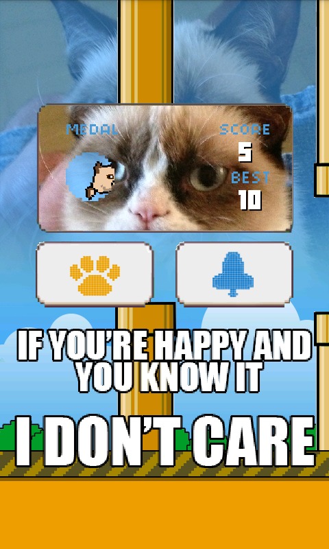 Flappy Grumpy Cat截图2