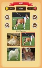 Dogs Quiz截图4