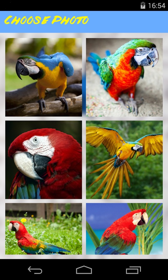 Parrot Jigsaw Puzzle截图2