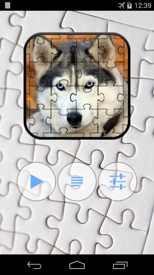 Husky Jigsaw Puzzle截图1