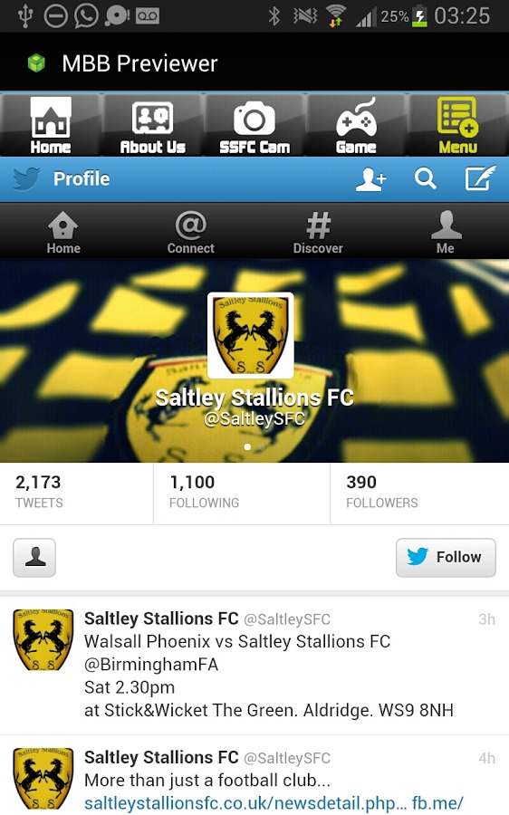 Saltley Stallions FC截图4