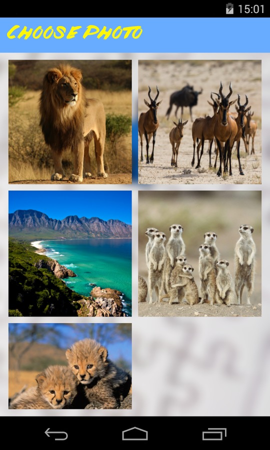 Africa Jigsaw Puzzle截图3