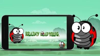 Brainy LadyBug截图2