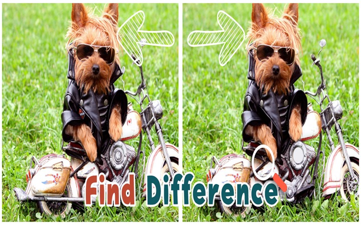 Find 5 Differences : Puppies截图3