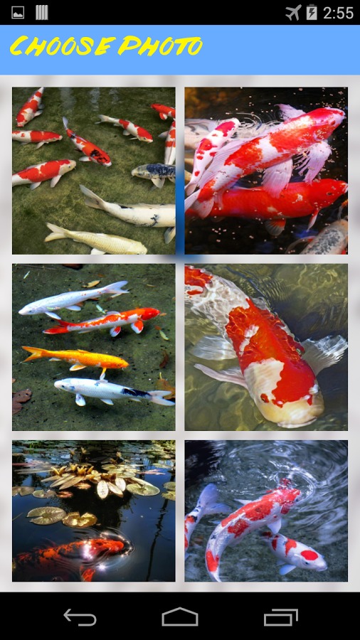 Koi Jigsaw Puzzle截图2