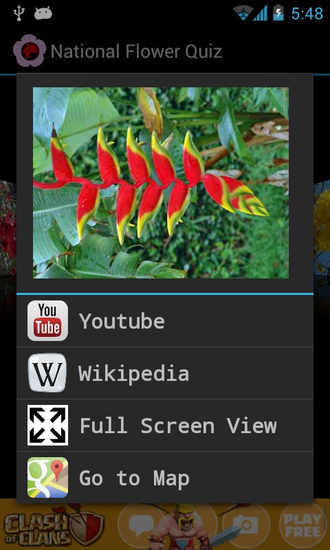 National Flower Quiz截图5