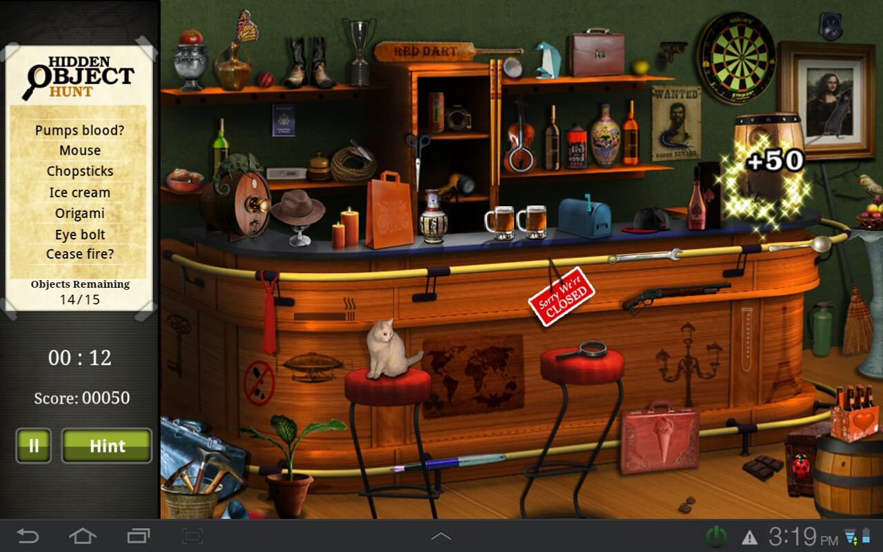 Hidden Object Hunt截图3