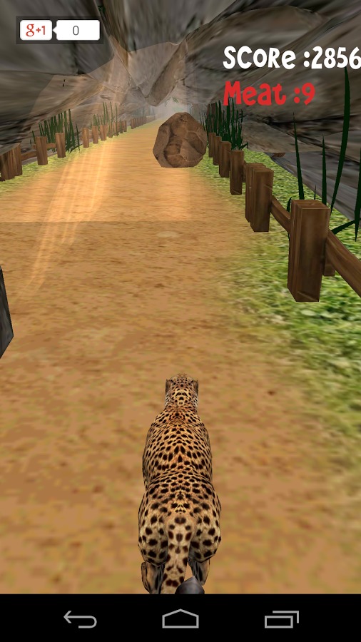 Animal Run :Cheetah 3D截图3