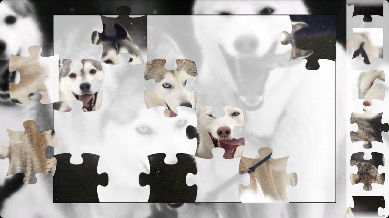 Husky Puzzle截图1