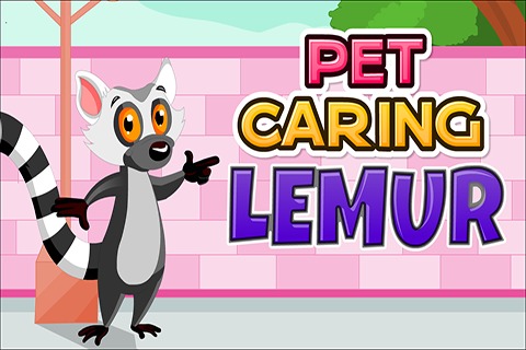 Pet Caring Lemur截图1