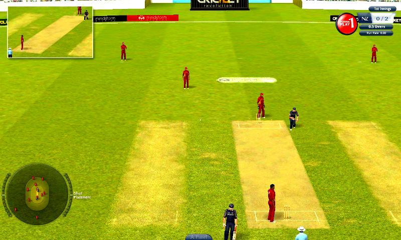 Cricket Ultimate截图2